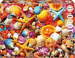 Educa Deniz Kabuğu Kolajı 1000 Parça Puzzle 20246