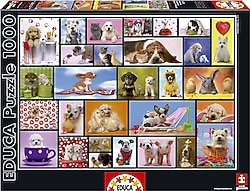 Educa Shared Moment 1000 Parça Puzzle 15518
