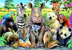 Educa Sınıf Fotoğrafı 1000 Parça Puzzle 15517