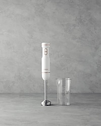 English Home ELB 3001 1500 W El Blenderı