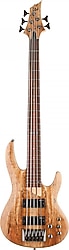 ESP LTD B-205 Spalted Maple Natural Bas Gitar