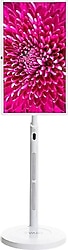 Evaio Neo Full HD 32" 82 Ekran Android Smart Taşınabilir LED TV