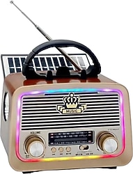 Everton RT-301.M Nostaljik Radyo