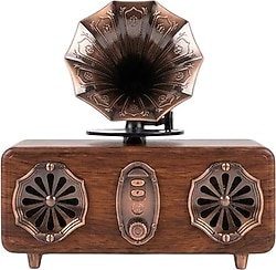 Everton RT-572 Nostaljik Radyo