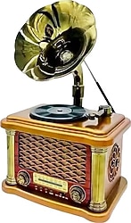Everton RT-586 Nostaljik Radyo