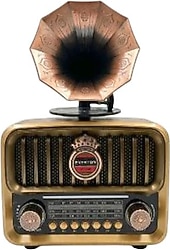 Everton RT-606 Gramofon Nostaljik Radyo