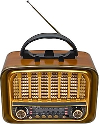 Everton RT-676 Nostaljik Radyo