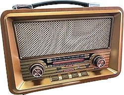 Everton RT-680 Nostaljik Radyo