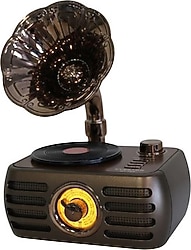 Everton RT-704 Nostaljik Radyo
