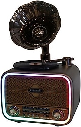 Everton RT-709 Nostaljik Radyo