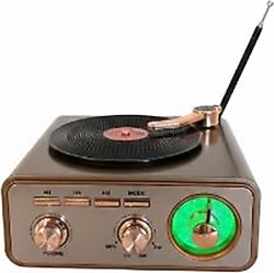 Everton RT-713 Nostaljik Radyo