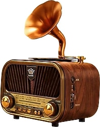 Everton RT-728 Nostaljik Radyo