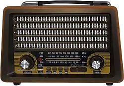 Everton RT-750 Nostaljik Radyo