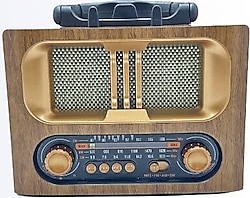 Everton RT-751 Nostajik Radyo