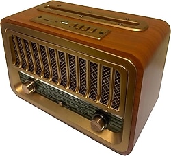 Everton RT-868BT Nostaljik Radyo