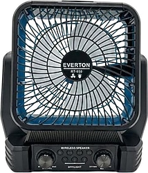 Everton RT-950 Fanlı Nostaljik Radyo