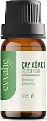 Evvahe Doğal Çay Ağacı Yağı 10 ml