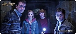 Exvega Harry Potter Friends XXL Oyuncu Mouse Pad