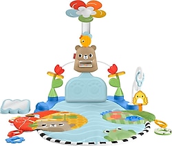 Fisher Price 3'ü 1 Arada Duyusal Gelişim Jimnastik Merkezi HYR60