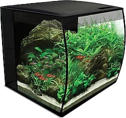 Fluval Flex 34 lt LED Akvaryum