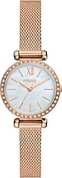 Fossil Tillie Mini FBQ3 Hasır Kordon Kadın Kol Saati