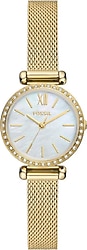Fossil Tillie Mini FBQ3898 Hasır Kordon Altın Kadın Kol Saati