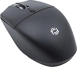 Frisby FM-284WM Optik Kablosuz Mouse
