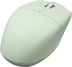 Frisby FM-290WM Yeşil Optik Kablosuz Mouse