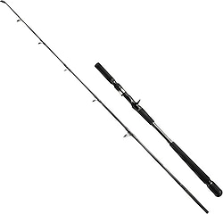 Fujin Seaforce 200 cm 200-400 gr 2 Parçalı Olta Kamışı