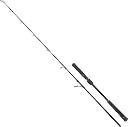 Fujin Valhalla Bigsea 178 cm 250 gr 2 Parçalı Jig Kamışı