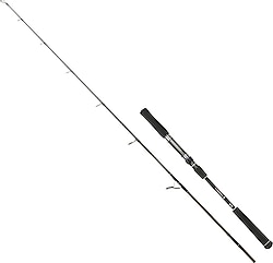 Fujin Valhalla Darksea 183 cm 210 gr 2 Parçalı Jig Kamış