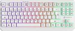 GameBooster G75 Elya TKL Membrane Switch Kablolu Oyuncu Klavyesi