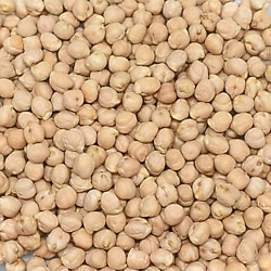 Gaziantep Pazarı 8 mm Nohut 5 kg