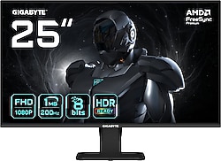 Gigabyte GS25F2 24.5