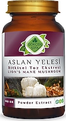 Gökçek Şifa Aslan Yelesi Toz Ekstresi 100 gr