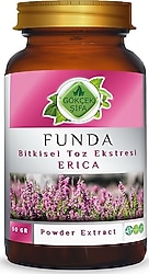 Gökçek Şifa Funda Toz Ekstresi 50 gr