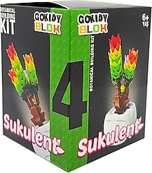 Gokidy Blok Sukulent Serisi 4