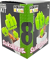 Gokidy Blok Sukulent Serisi 8
