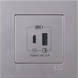Günsan Eqona Gümüş Çerçeveli 2 Çıkışlı Type C + Type A USB Şarj Prizi