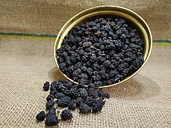 Gurmekent Karadut Kurusu 1 kg