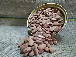 Gurmekent Kavrulmuş Badem İçi 250 gr