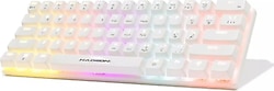 Hadron G508B RGB TKL Blue Switch Kablolu Mekanik Oyuncu Klavyesi