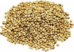 Hayfene 1 kg Tane Kişniş