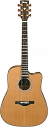 Ibanez AW3050CE-LG Cutaway Elektro Akustik Gitar