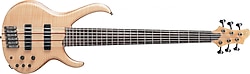 Ibanez SR1006EFMNTF 6 Telli Bas Gitar