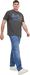 Jack&Jones Mike Original 223 12245638 Erkek Kot Pantolon