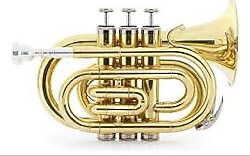 Jinbao JBMT-510L Lacquer Pocket Trompet