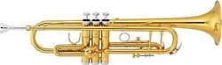 Jinbao JBTR400L Sib Trompet