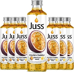 Juss Fesleğen Tohumlu Meyve Suyu 6x250 ml