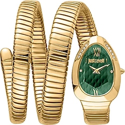 Just Cavalli Just Glam Evo 9 JC1L224M0045 Altın-Yeşil Kadın Kol Saati